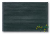 Kau�uk Paspas